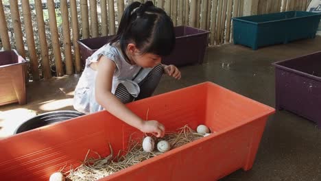 Das-Asiatische-Oder-Thailändische-Kleine-Mädchen-Pflückt-Die-Enteneier-Im-Farmhaus