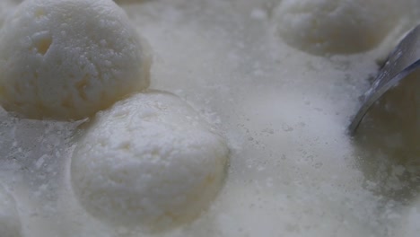 close-up shot of rosogolla, a popular bengali sweet