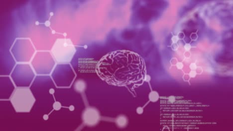 animation of data processing with chemical formula and digital brain on purple background