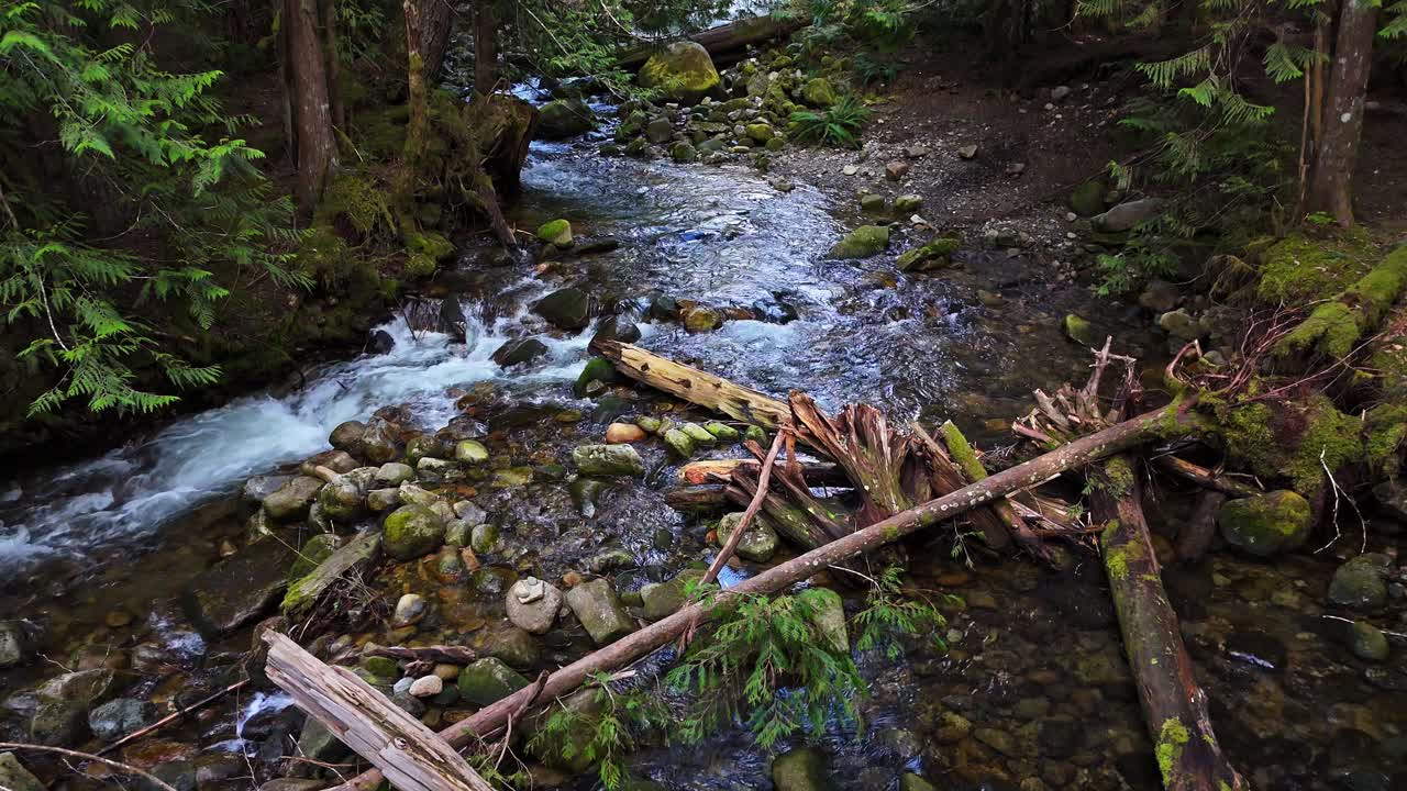 el río hansen creek fluye a través del denso y exuberante bosque perenne en snoqualmie, estado de washington