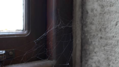 LOCKED-OFF-view-of-cobweb-gently-moving-indoors