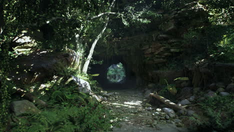 un camino oculto a través de una densa selva