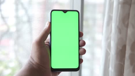 hand holding a smartphone with a green screen in front of a window