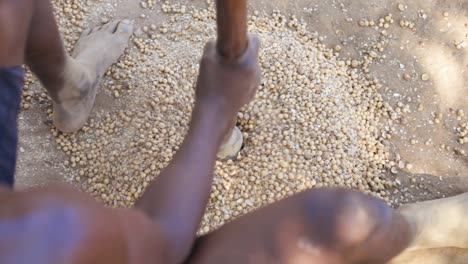 african man smashing beans in village ghana