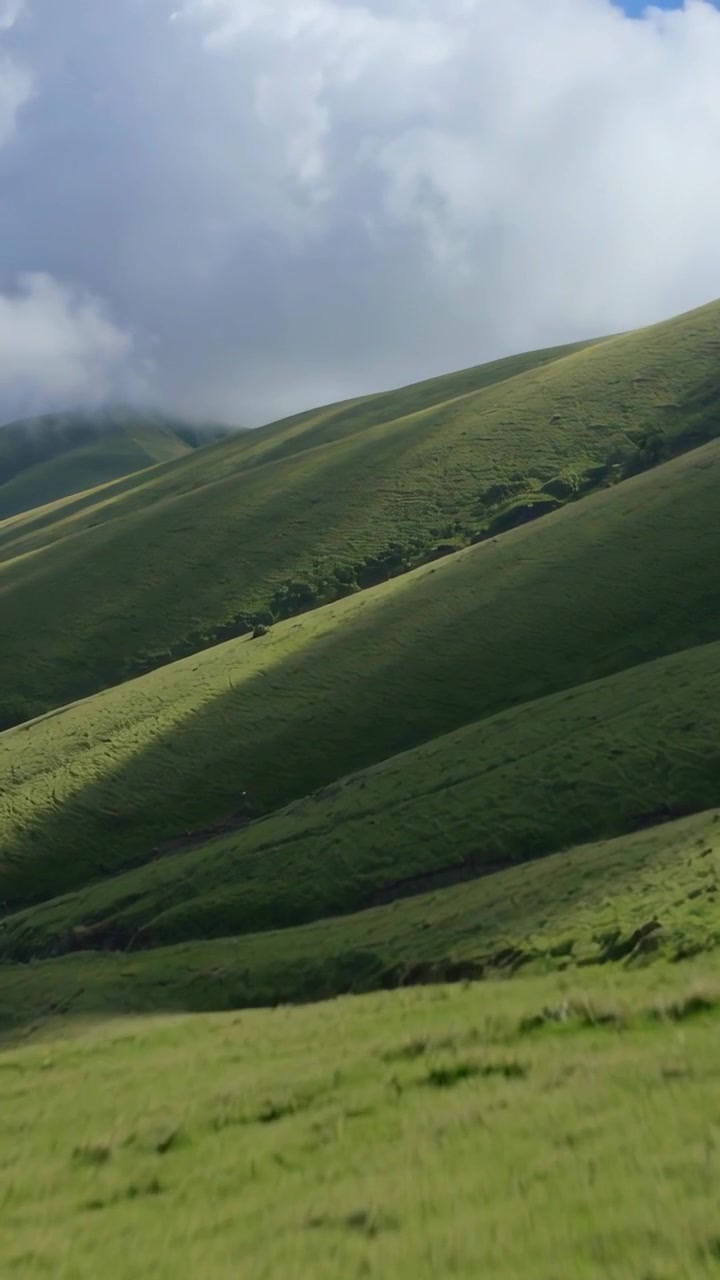 Video verticale: Inclinazione della telecamera che rivela dolci colline verdi in un prato per mostrare le ombre delle nuvole in movimento.