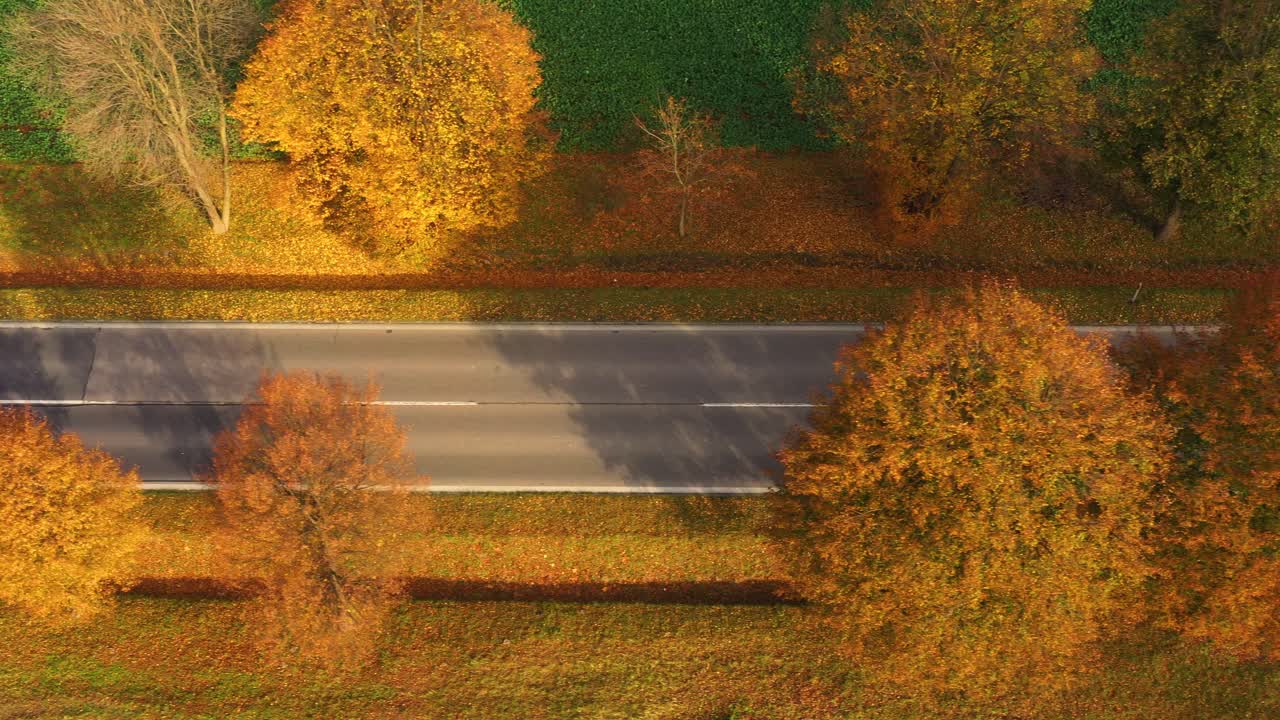 Aerial view of road in beautiful autumn forest at sunset in rural. Beautiful landscape with rural road and trees with colorful leaves.