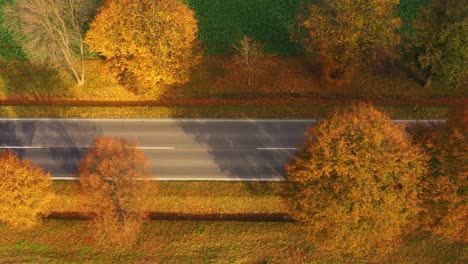 aerial view of road in beautiful autumn forest at sunset in rural. beautiful landscape with rural road and trees with colorful leaves.