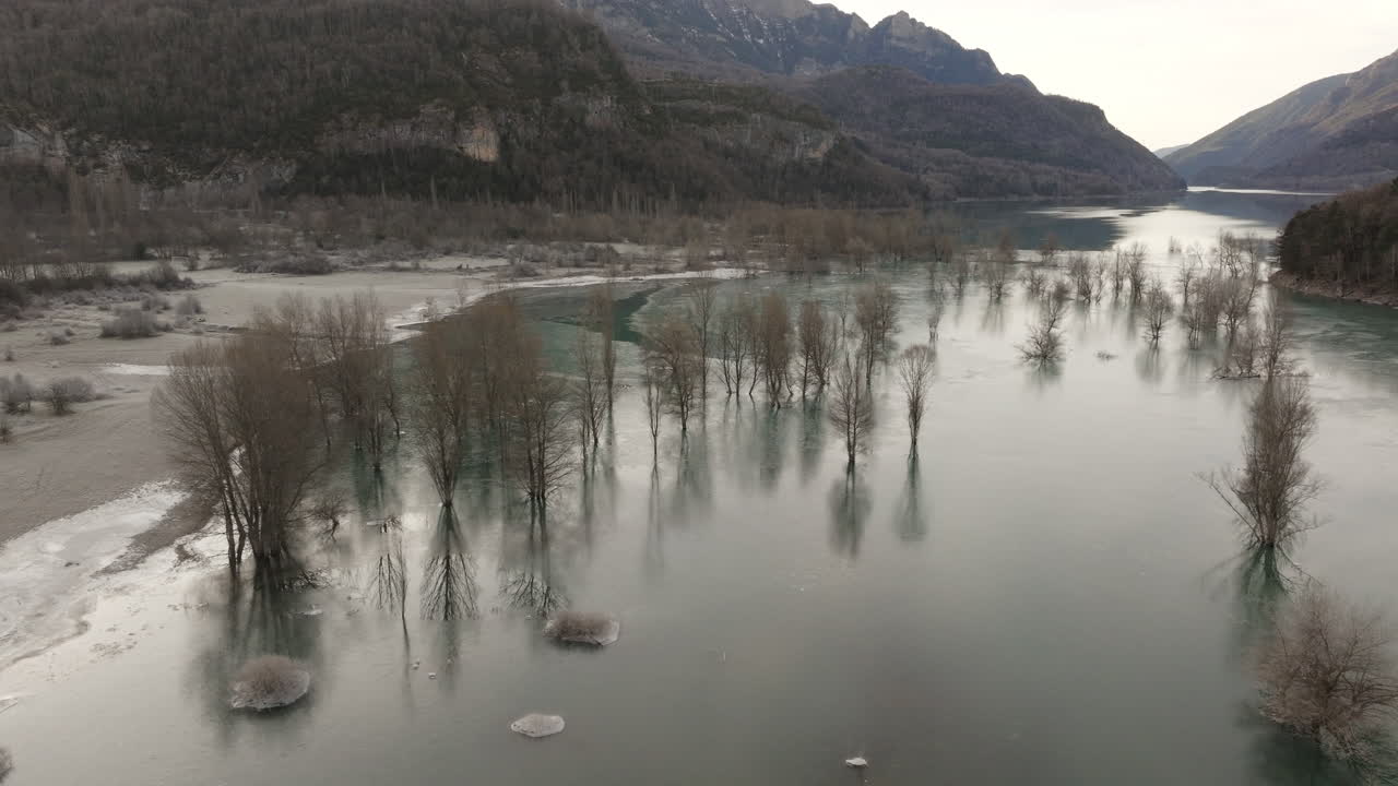 Frozen Lake with Flooded Trees