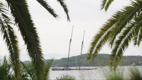 Old-shipwreck-behind-palm-leaves,-tranquil-Mediterranean-sea-coast-in-Greece