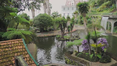 tropical garden with waterfall and pond