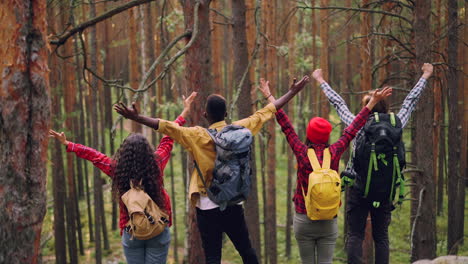 amigos haciendo senderismo en el bosque.