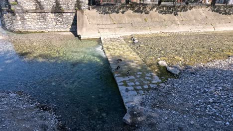 a duck swims near a stone pier