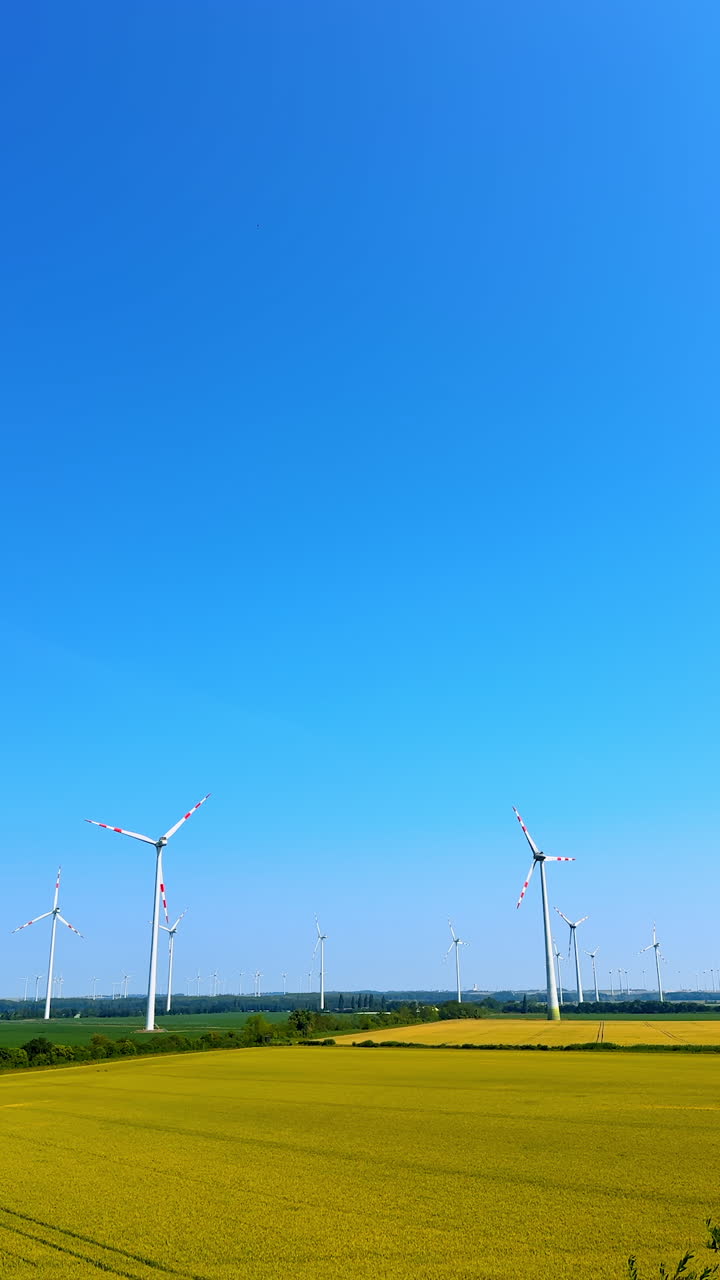 Wind turbines on a clear sunny day. Wind turbines stand tall against a bright blue sky above golden fields, showcasing renewable energy in nature