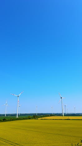 wind turbines on a clear sunny day. wind turbines stand tall against a bright blue sky above golden fields, showcasing renewable energy in nature