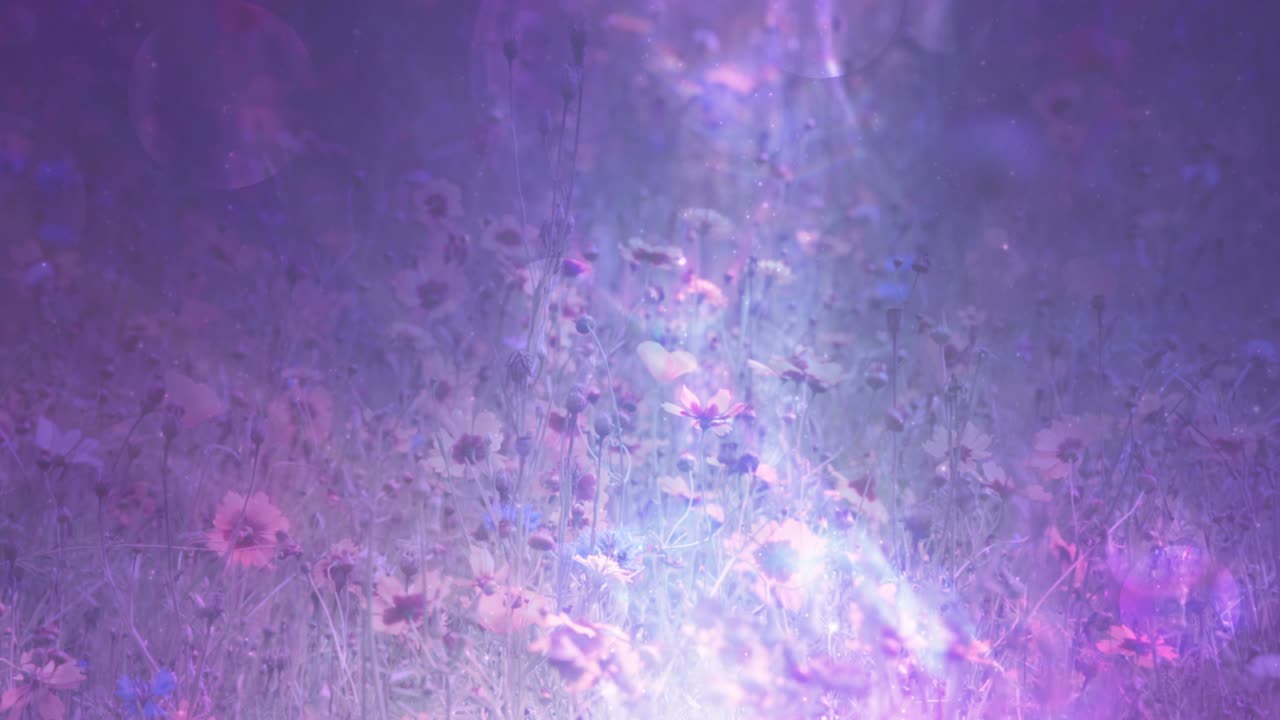 화려하고 다채로운 꽃 디자인