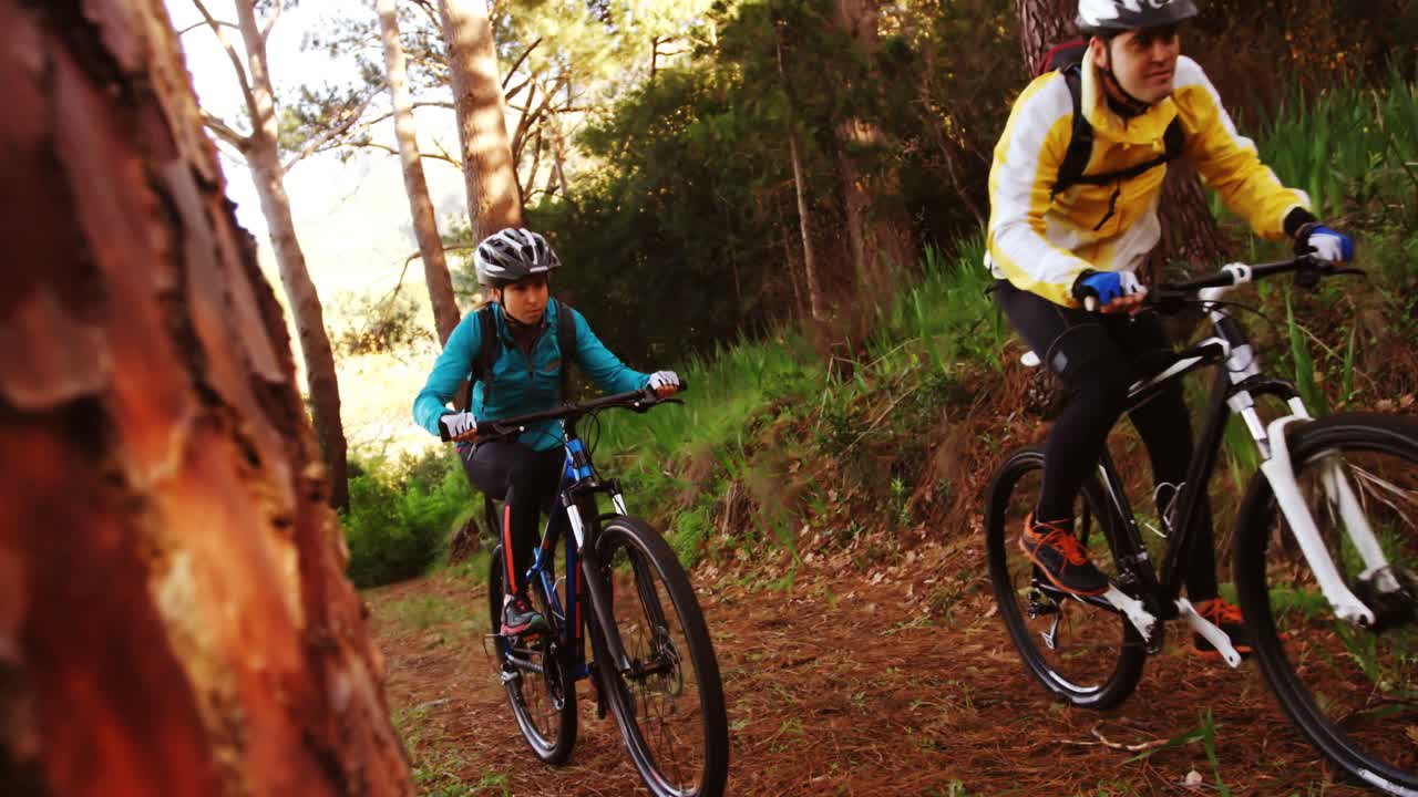 Mountain biking couple riding in the forest on a sunny day