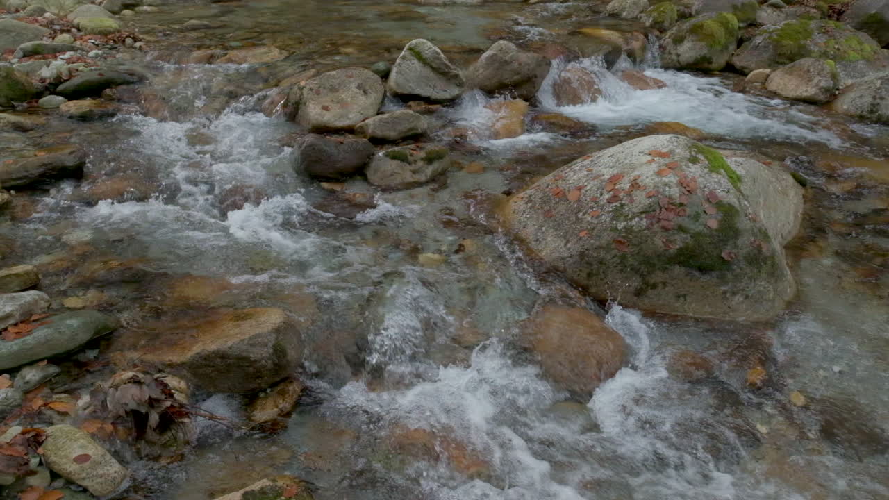 Fiume autunnale in una foresta di montagna al rallentatore con alberi dal fogliame giallo e rosso
