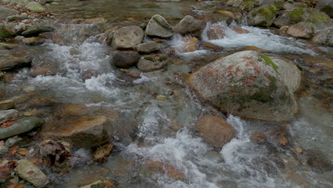 Autumn-river-in-mountain-forest-at-slow-motion-with-yellow-and-red-foliage-trees