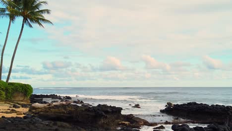 HD-Slow-motion-Hawaii-Kauai-static-of-ocean-waves-building-from-right-to-left-of-frame-with-two-palm-trees-in-left-of-frame-and-lava-rock-beach-with-partly-cloudy-sky,-two