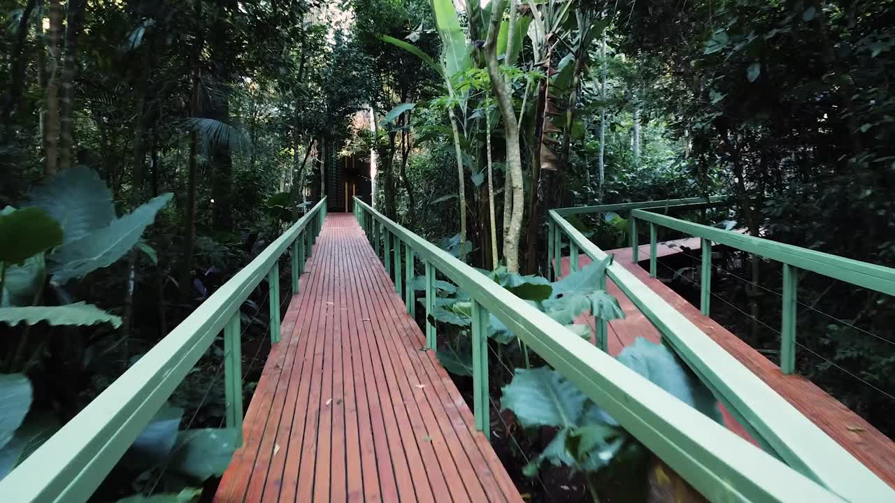 A wooden walkway splits into two paths offering a choice of direction deep inside a lush tropical rainforest. An immersive journey into the heart of nature and the spirit of adventure.