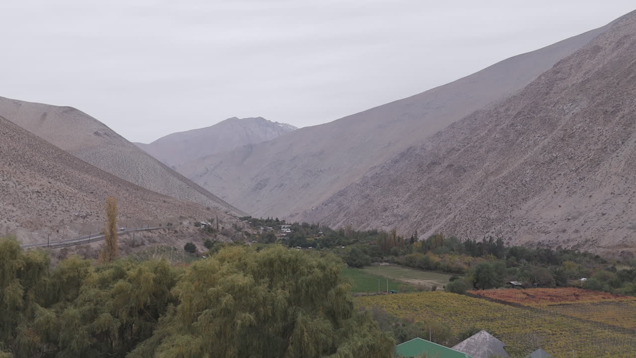 Drone shot from above the trees in Pisco Elqui Valley in Chile South America in between the mountains and vineyards on a grey day LOG