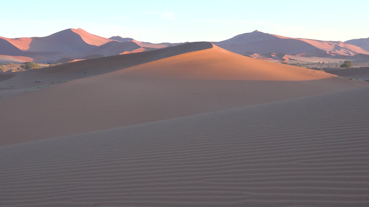 나미브 사막과 거대한 사구 새벽 나미비아에 있는 나미브 나우클루프트 국립공원의 설정 샷