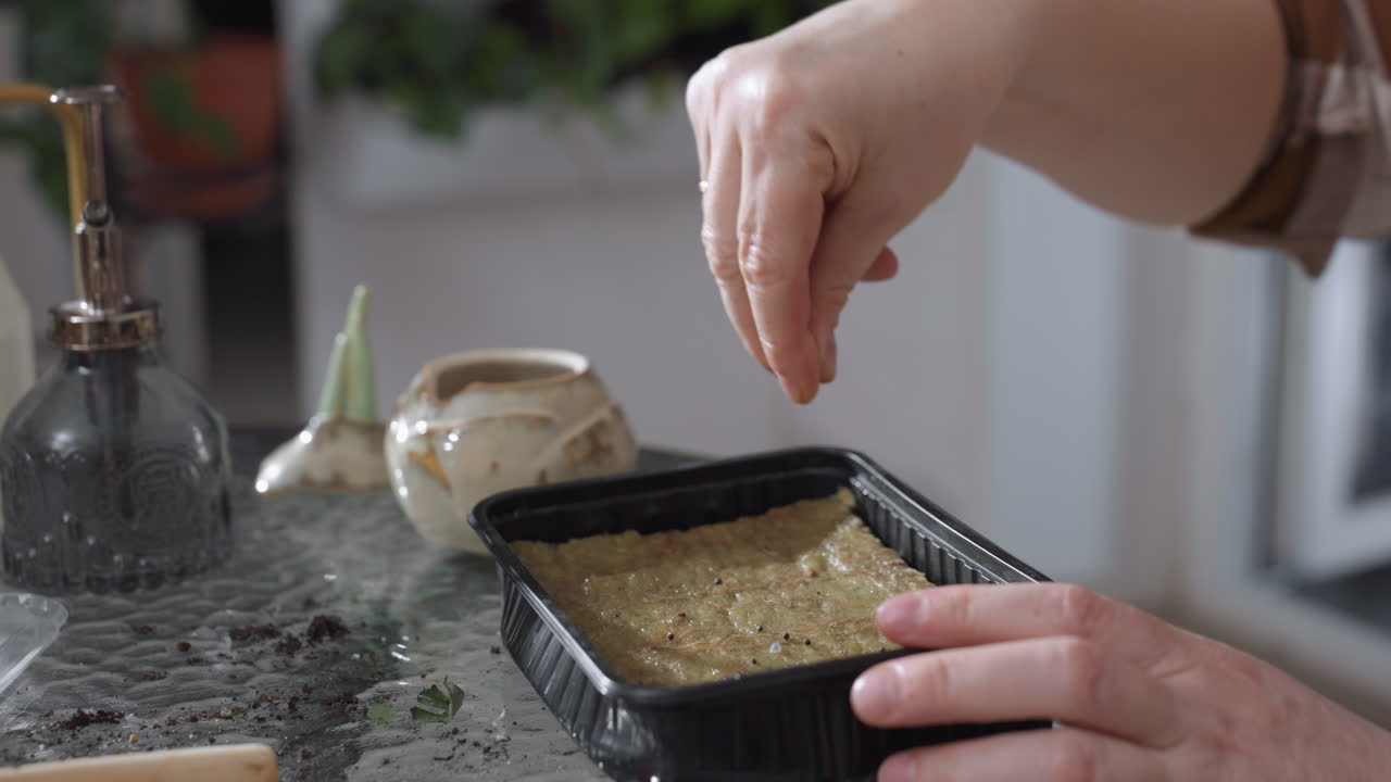 Close up of gardener hands spreading small seeds onto damp soil in black plastic tray on glass table surrounded by ceramic planters, watering can and plant tools for indoor planting ritual