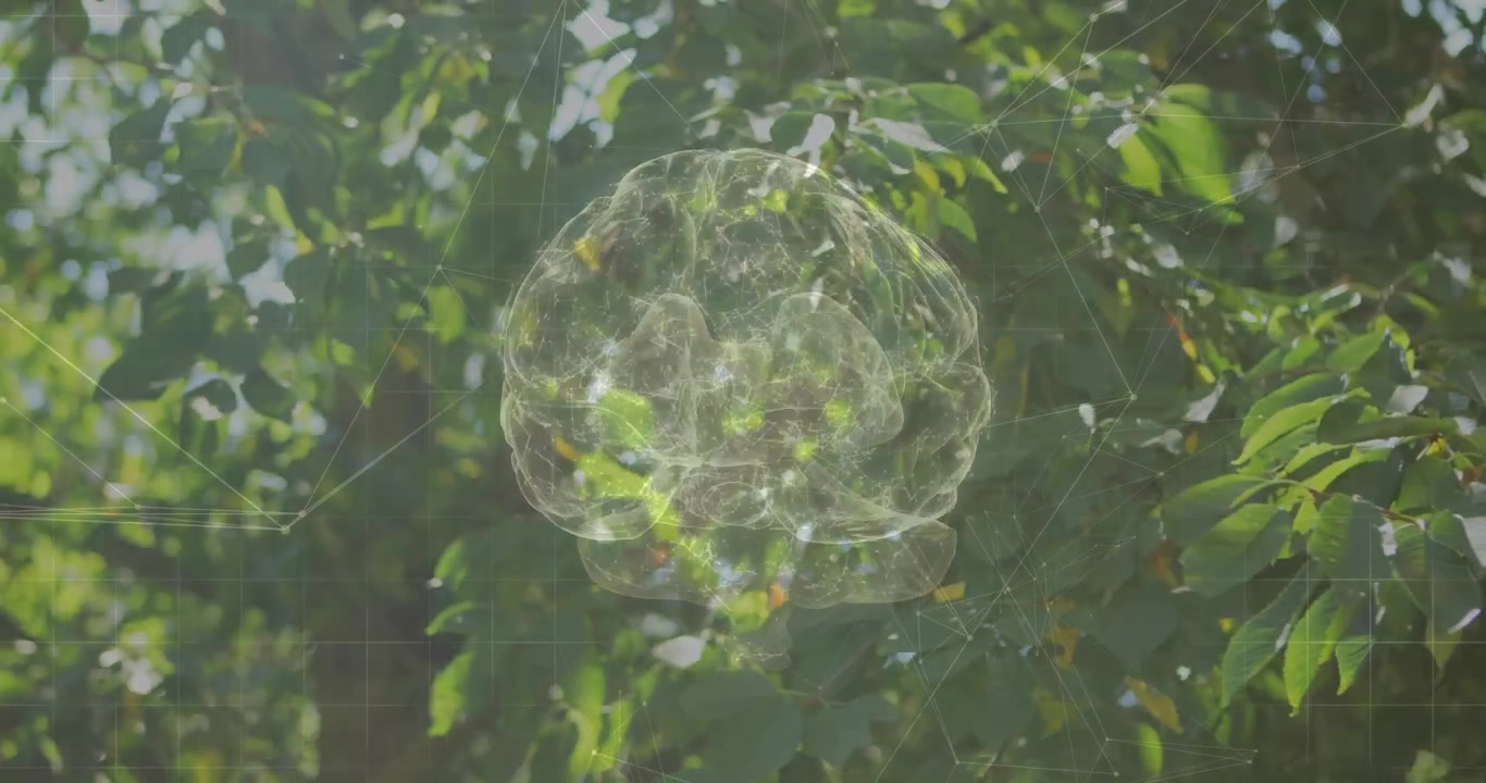 Luce solare che filtra attraverso il fogliame, facendo emergere un ologramma 3D di un cervello che ruota verso sinistra, mappando una rete.