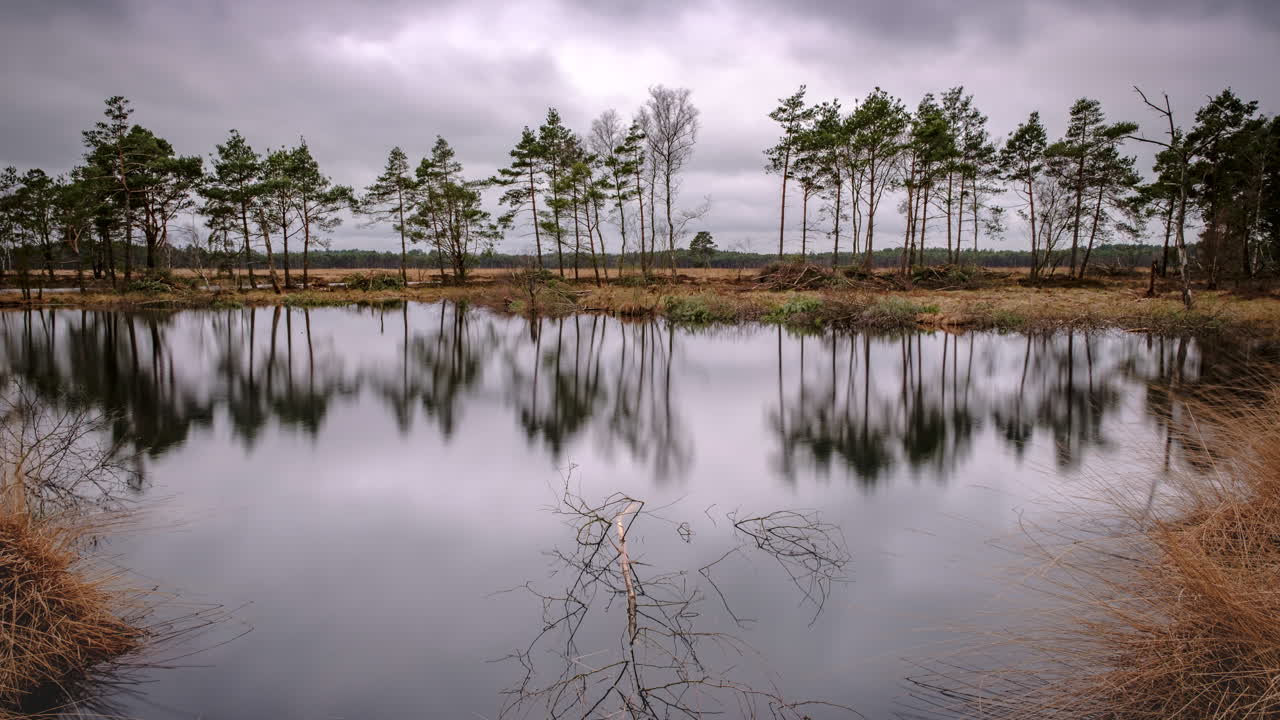 lapso de tiempo de pietzmoor, lüneburger heide con reflejo y nubes dramáticas