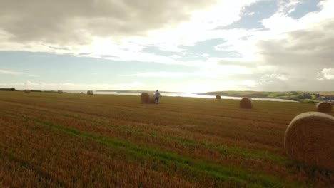 Drone-footage-of-golden-fields-