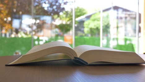 open book in a cafe with a view