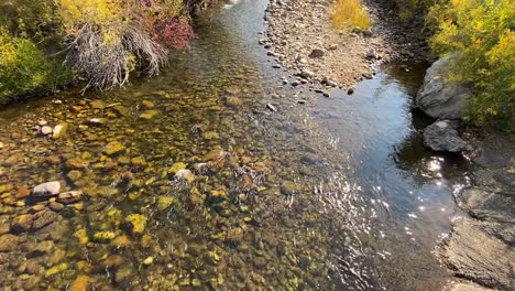 Un-Arroyo-De-Agua-Dulce-En-Otoño