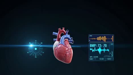 human heart anatomy with vital signs display