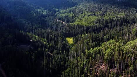 Increíblemente-Hermoso-Paisaje-De-Drones-Aéreos-Vista-Natural-De-Un-Gran-Bosque-De-Pinos-En-El-Cañón-Del-Castor-En-Utah-En-Una-Cálida-Y-Soleada-Mañana-De-Verano-Con-Pequeñas-Aberturas-De-Prados-Verdes-Y-Un-Pequeño-Camino-De-Tierra