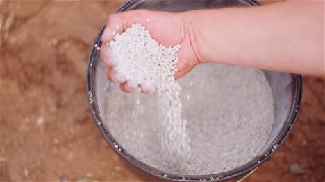 Agricultor-Examinando-Herbicidas-Fertilizante-En-Manos-Antes-De-Fertilizar-El-Campo-De-La-Agricultura-1