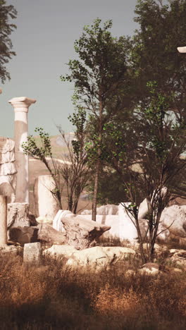 ruins of an ancient greek or roman temple in a grassy field