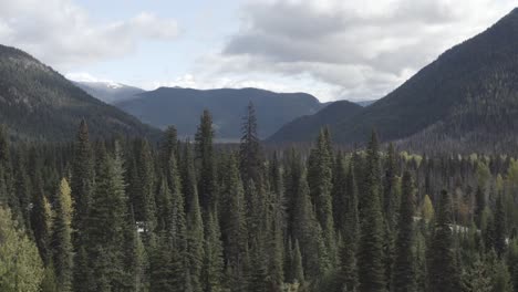 aerial-hold-in-mountain-valley-highway-freeway-road-in-thick-coverage-of-trees-on-a-summer-day-with-blue-skies-and-partly-clouds