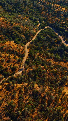wavy highway in the mountains of sierra national forest, california, usa. hot sunny day in the wild nature from top. vertical video
