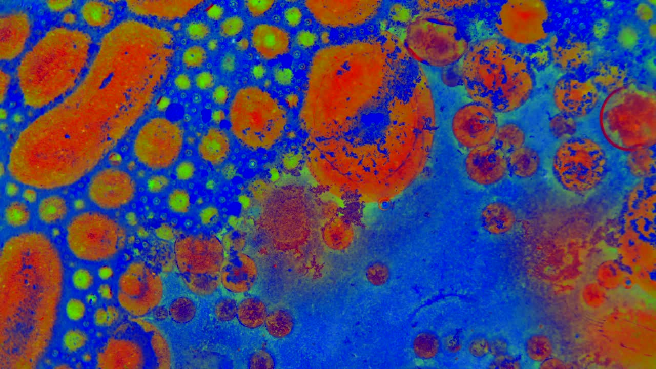 сказочные узоры