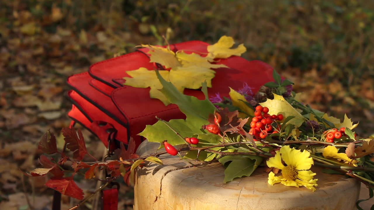 Scena di giardino autunnale con borsa rossa appoggiata su una panchina insieme a foglie e un ramo di bacche