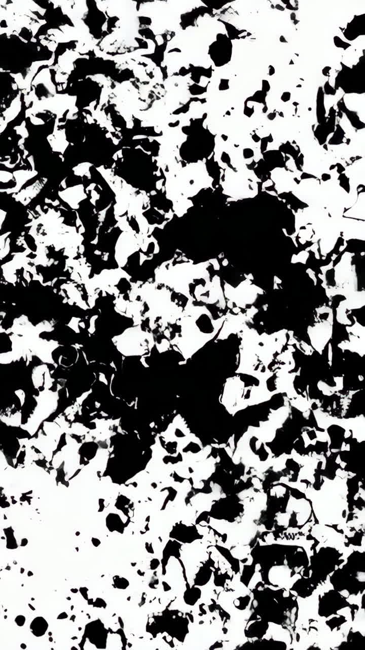 Abstract Black and White Ink Splatter Pattern