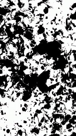 abstract black and white ink splatter pattern