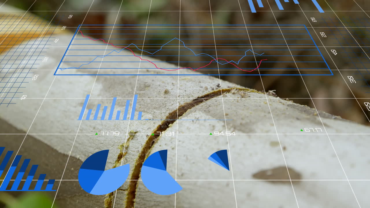 animación del procesamiento de datos financieros a través de la red