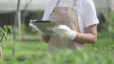 close up of woman's hands checking organic farm