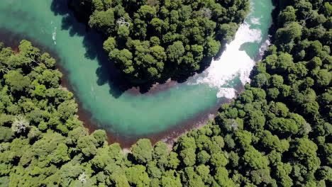 aerial view of winding river through dense tropical forest