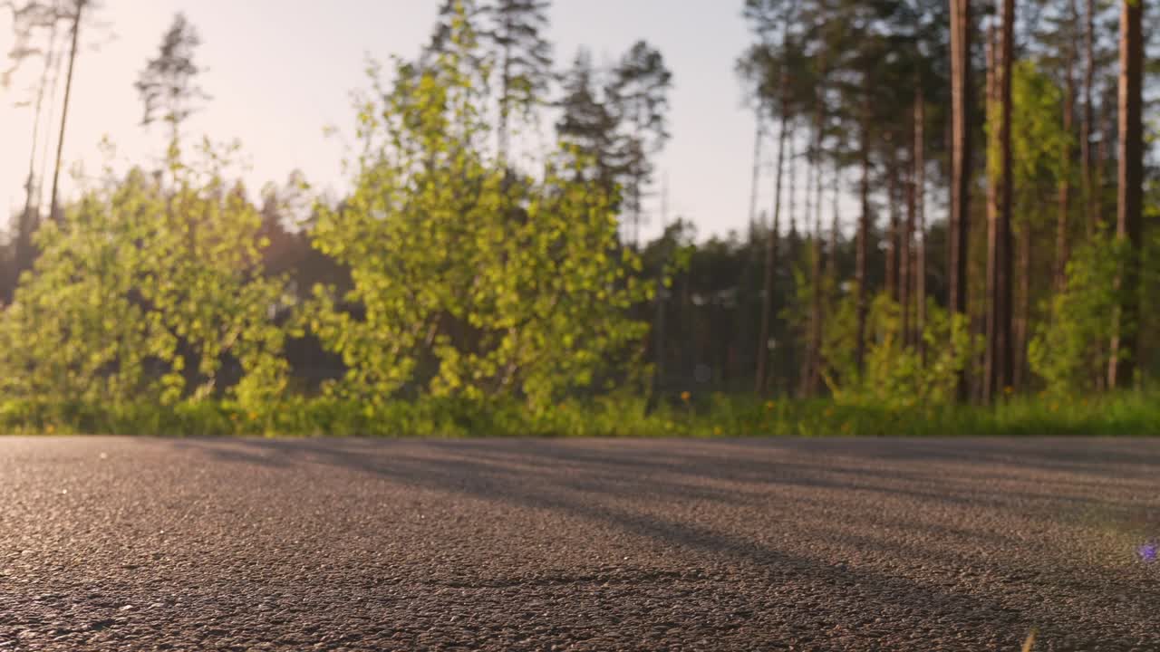 Motociclista che impenna su strada asfaltata nel bosco.