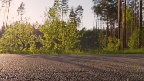 motorcycle rider performing wheelie on asphalt road in forest