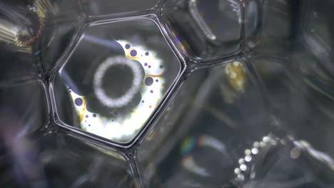 estructura de membrana de burbuja hexagonal bajo vista de microscopio geométrico