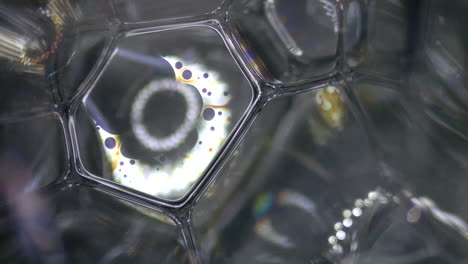 hexagonal bubble membrane structure under geometric microscope view