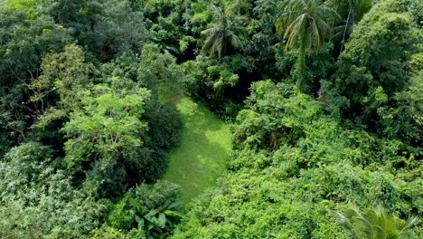 Aerial-view-of-deep-green-forest-or-jungle-at-rainy-season